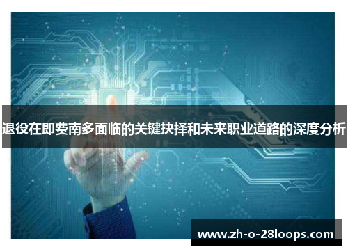 退役在即费南多面临的关键抉择和未来职业道路的深度分析