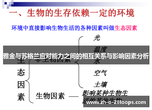 雅金与苏格兰应对能力之间的相互关系与影响因素分析