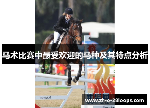 马术比赛中最受欢迎的马种及其特点分析