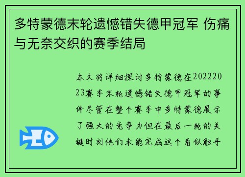 多特蒙德末轮遗憾错失德甲冠军 伤痛与无奈交织的赛季结局