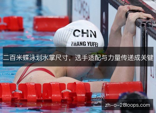 二百米蝶泳划水掌尺寸，选手适配与力量传递成关键
